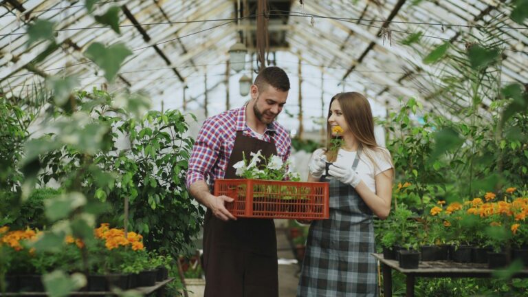 What B2B Buyers Really Care About When Sourcing Greenhouse Equipment