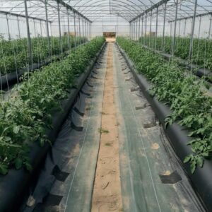 Water Storage for Bioclimatic Greenhouses